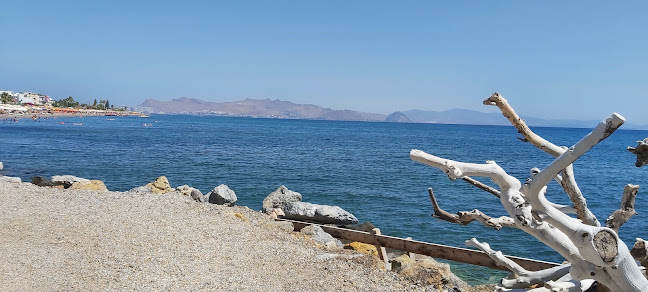 Active Sandwichland Snack Bar