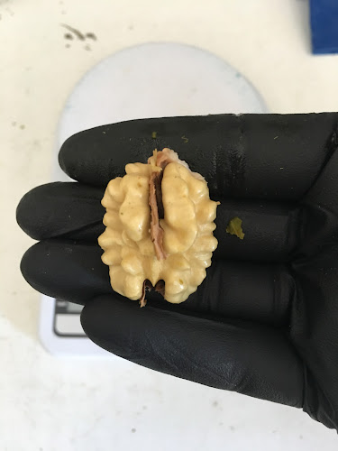 Opinii despre Καρυδεωνας Νιγριτας în Νιγρίτα - Γαστρονομία και φιλοξενία