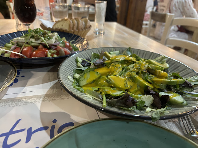 Comentarii opinii despre Ostria