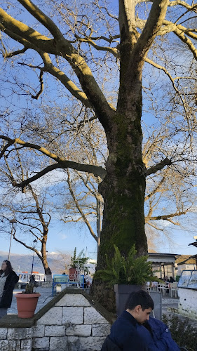 Opinii despre Απόπλους în Νήσος Ιωαννίνων - Γαστρονομία και φιλοξενία