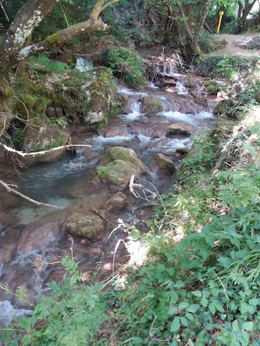 Αμφίκλεια 350 02