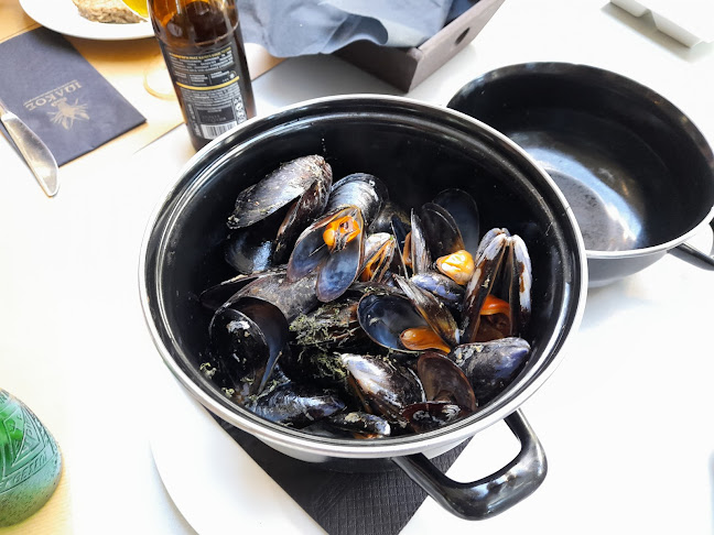 Comentarii opinii despre ΙΩΛΚΟΣ - Γεύσεις Θάλασσας