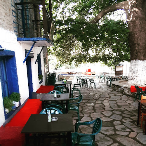 Ουζερί Πλάτανος - Γαστρονομία και φιλοξενία