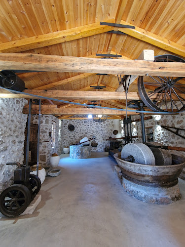 Ermionis - Μελισσοκομία Μπαϊρακτάρη - Κρανίδι