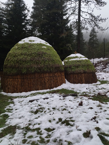Στανη - Ιωάννινα