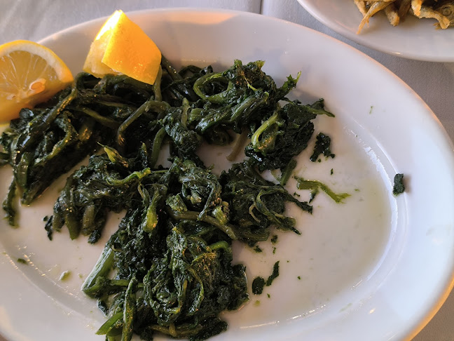 ΤΟ ΚΥΜΑ - Παλαιά Φώκαια