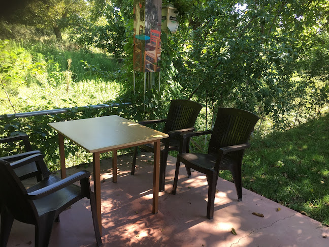 DE MARY - ΚΑΦΕΤΕΡΙΑ - ΠΑΙΔΟΤΟΠΟΣ- ΣΤΥΜΦΑΛΙΑ ΚΟΡΙΝΘΟΣ - Γαστρονομία και φιλοξενία