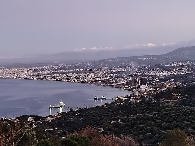 Ταβέρνα Το Ρόδι - Αρνί Αντικριστό