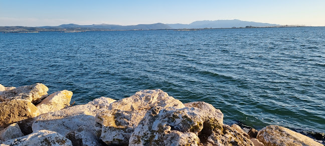 Opinii despre Το Νταλιάνι. Κρεμμύδα-Μυτάρη Ευαγγελία în Πρέβεζα - Γαστρονομία και φιλοξενία