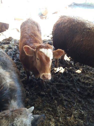 Λεπενού 301 31