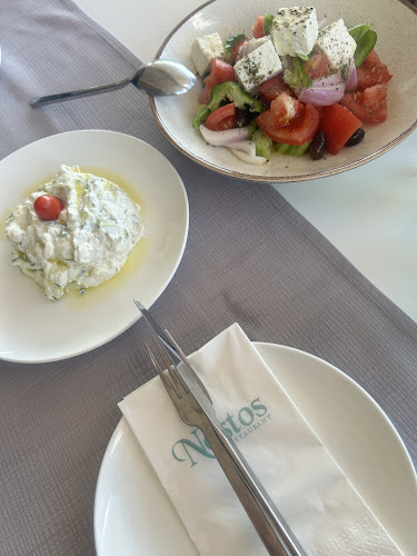 Comentarii opinii despre Nostos