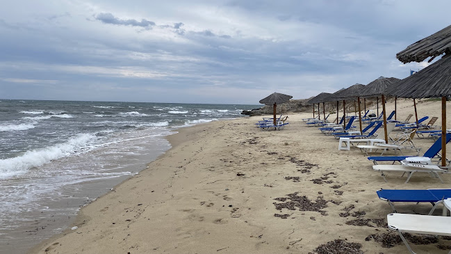 Comentarii opinii despre Coco Beach Bar