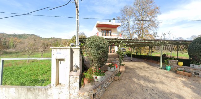 ΨΗΤOΠΩΛΕΙΟ-ΕΣΤΙΑΤΟΡΙΟ Η ΑΜΠΕΛΟΣ