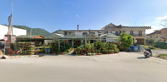 Καλωπιστικά Φυτά, Δενδρύλια