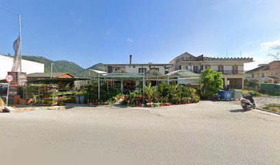 Καλωπιστικά Φυτά, Δενδρύλια