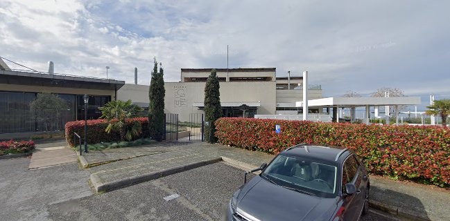 Bohème - Πυλαία