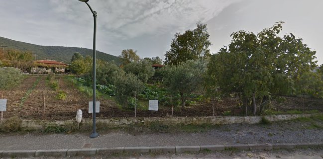 Ταβέρνα "ο Λευτέρης"