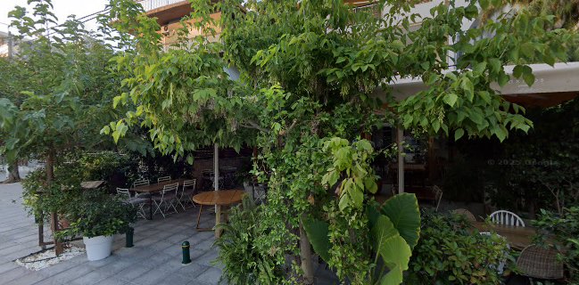 Σχίνος Μπιστρό