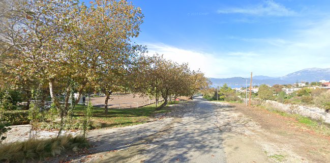 Ιππικός Όμιλος Ρίου