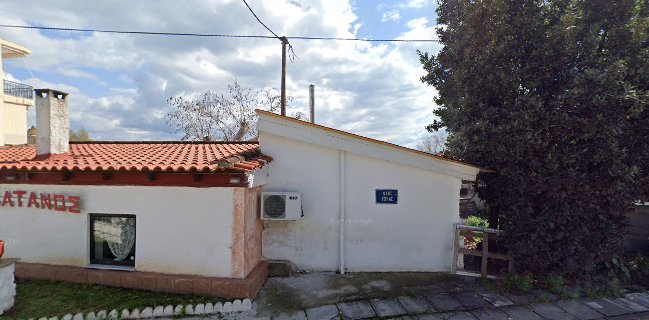 Ο Πλάτανος στο Λευκαντί