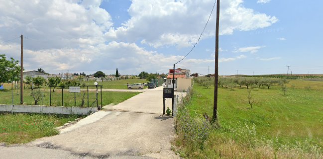 ΘΡΑΚΙΩΤΙΚΗ ΖΥΜΗ