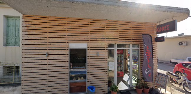 Freddo Caldo Espresso Bar