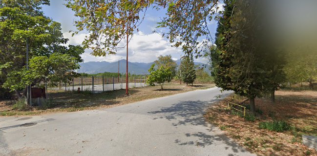 ΤΑ ΓΛΥΚΑ ΤΗΣ ΑΘΗΝΑΣ