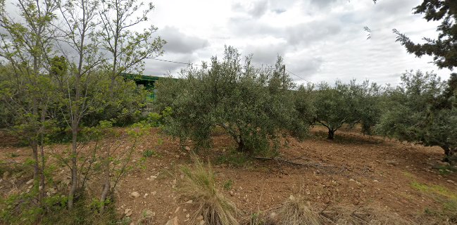 ΜΕΛΚΟ - Σπιτικά Ζυμαρικά Κρήτης Πρότυπη Μονάδα Παραγωγής Ζυμαρικών