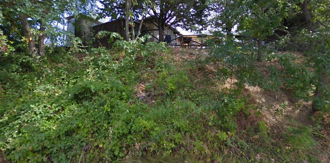 Το Στέκι Του Αρκούδου