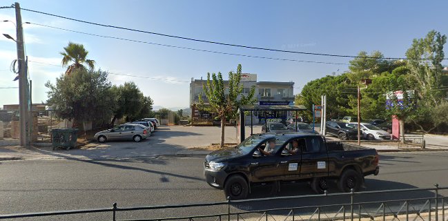 Δωδώνη Παλλήνη