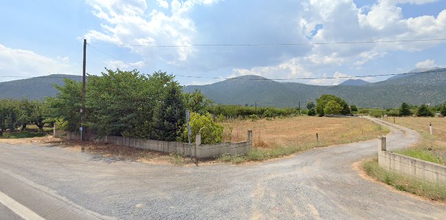 ΖΑΦΕΙΡΟΠΟΥΛΟΥ Γ ΧΡΥΣΟΒΑΛΑΝΤΟΥ