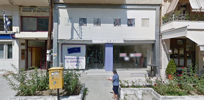 Τα κοτόπουλα του Τάκη