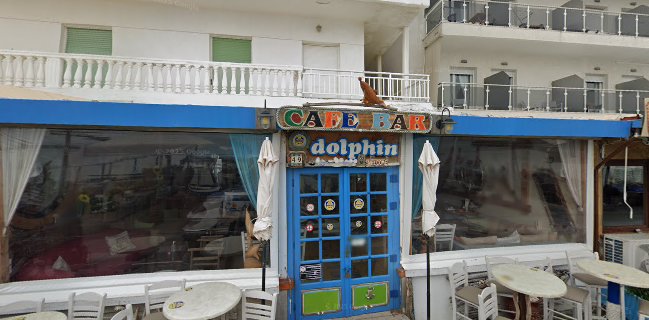 Dolphin