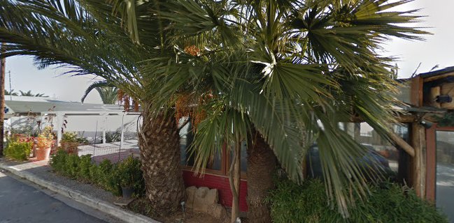 Paradisio Beach Bar - Restaurant