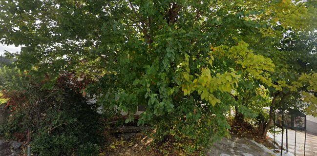 Argentina Restaurant