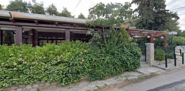 Θέμης Πεϊνιρλί