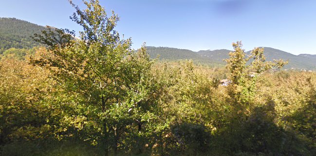 Opinii despre Ταβέρνα Το Σπίτι Του Ψαρά în Χαλκίδα - Γαστρονομία και φιλοξενία