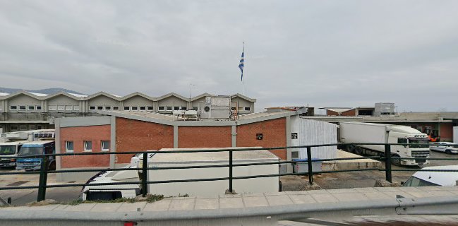 ΣΥΝΟΔΙΝΟΣ ΚΩΝΣΤΑΝΤΙΝΟΣ