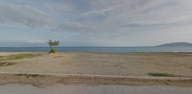 Θοή δαίς beach bar